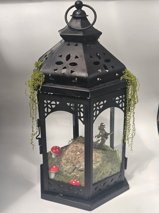Witches Lantern the Wonder Room Collection