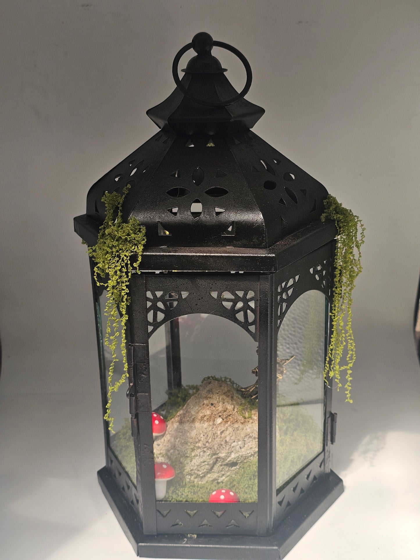 Witches Lantern the Wonder Room Collection